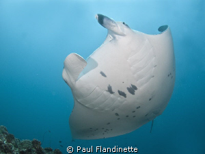 Taken on a cleaning station, using a Tokina 10-17 by Paul Flandinette 